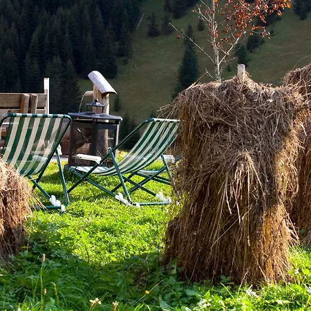 イン Berggasthaus Hermine Madau ツァムス